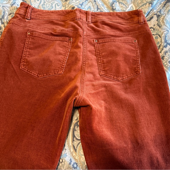 Chico's‎ Terracotta Straight Leg Pants - Picture 3 of 6